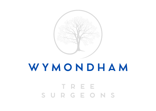 Wymondham Tree Surgeons